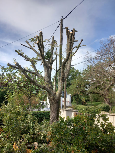 <p>Entreprise d'élagage, Boussac</p><p>Élagage de tous types d’arbre, Boussac</p><p>Entreprise spécialisée dans l'élagage, Boussac</p>